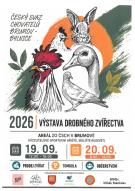 Výstava drobného zvířectva v Brumově 1